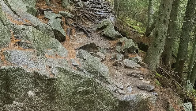 Ako v menších podnikoch začať využívať AI pre kyberbezpečnosť