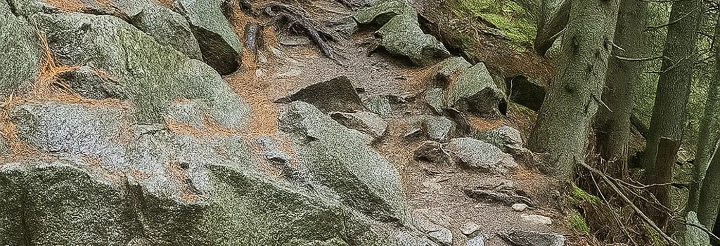 Ako v menších podnikoch začať využívať AI pre kyberbezpečnosť